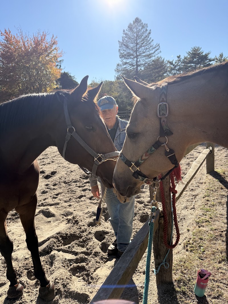 Kentucky Riding Stables photo 3