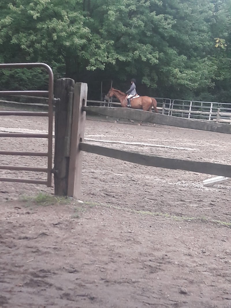 Kentucky Riding Stables photo 5