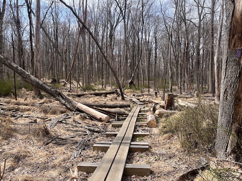 Leon Levy Preserve photo 5
