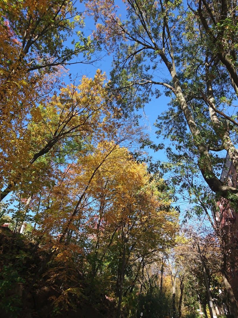 Georgia Avenue Park photo 2