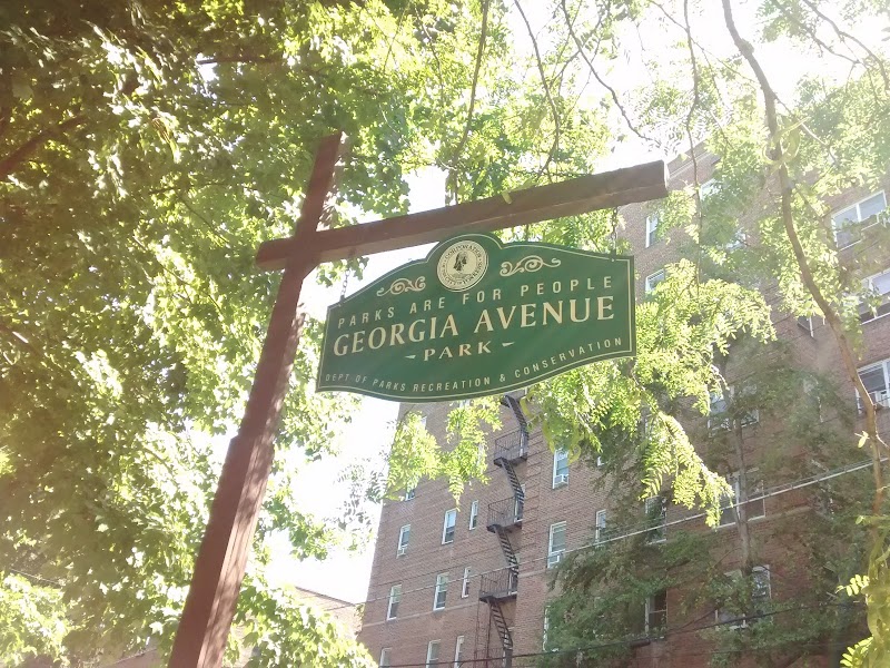 Georgia Avenue Park photo 5