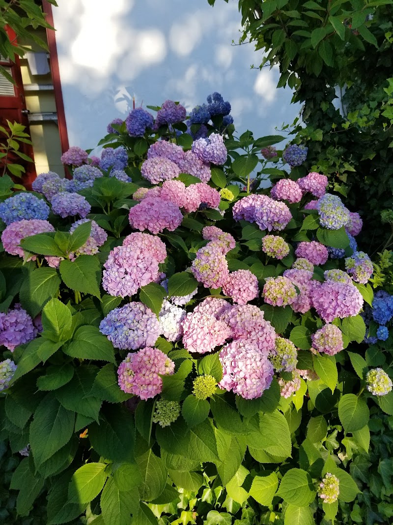 Neperan Park photo 2