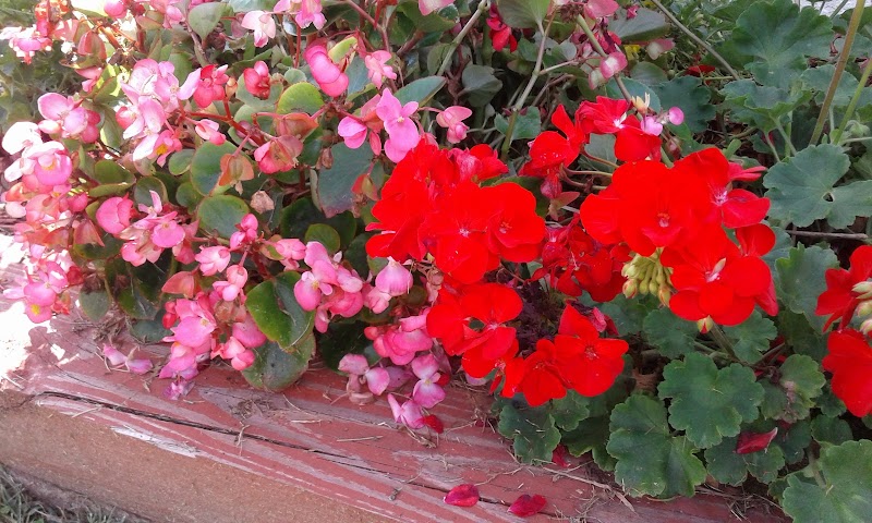 Neperan Park photo 4