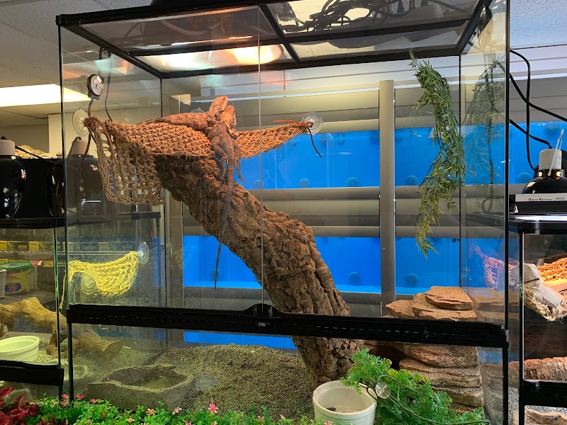 A & R Reptiles and Aquariums photo 2