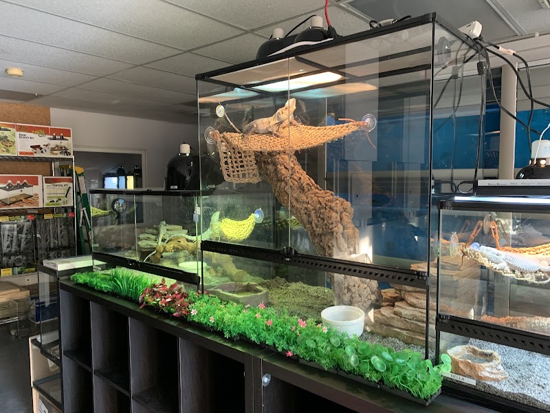 A & R Reptiles and Aquariums photo 5