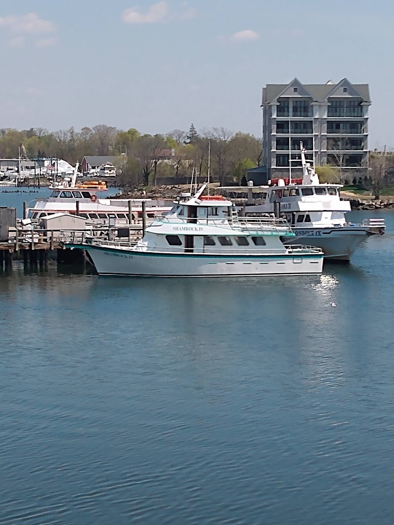 Neptune Island photo 5