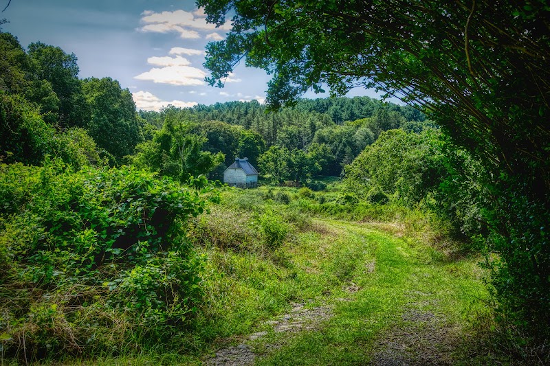 Merestead photo 3