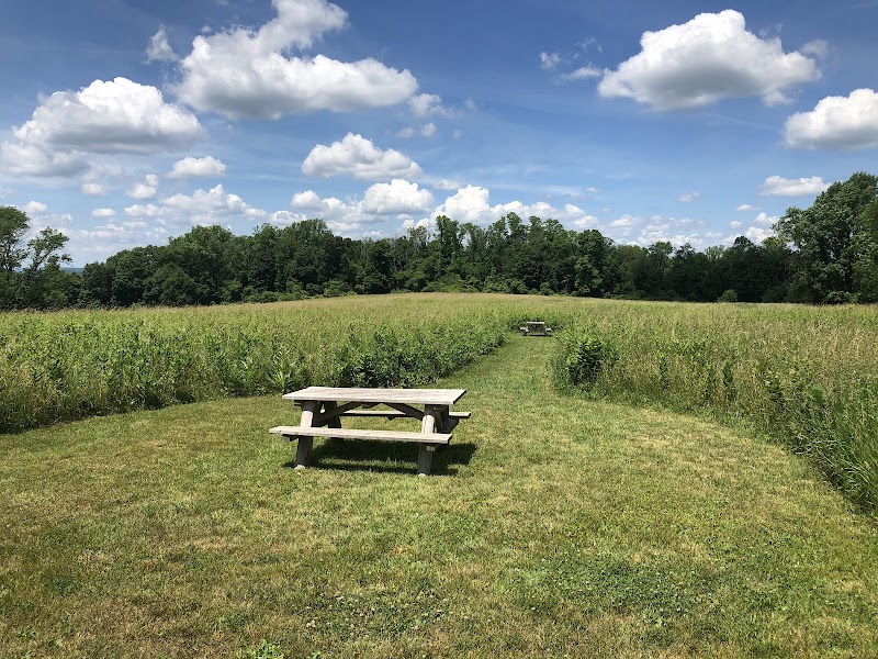 Merestead photo 5