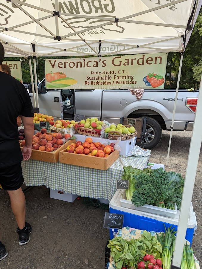 Veronica's Garden photo 2