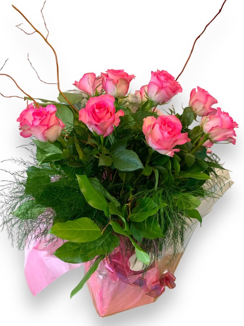 Terrapin Rose photo 4