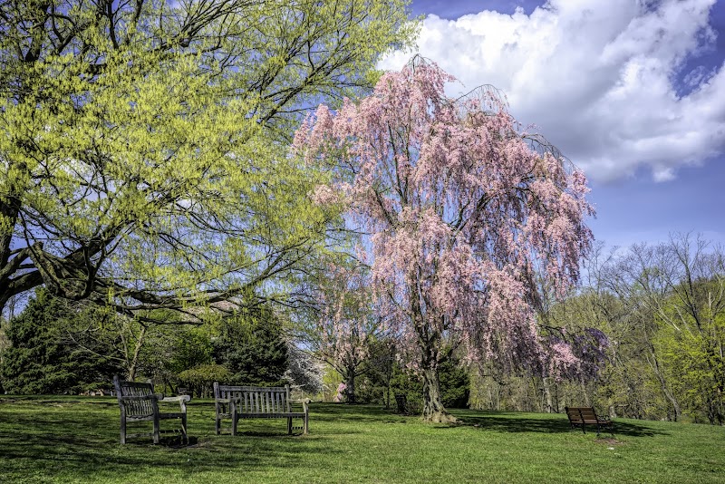 West Harrison Village Green photo 3