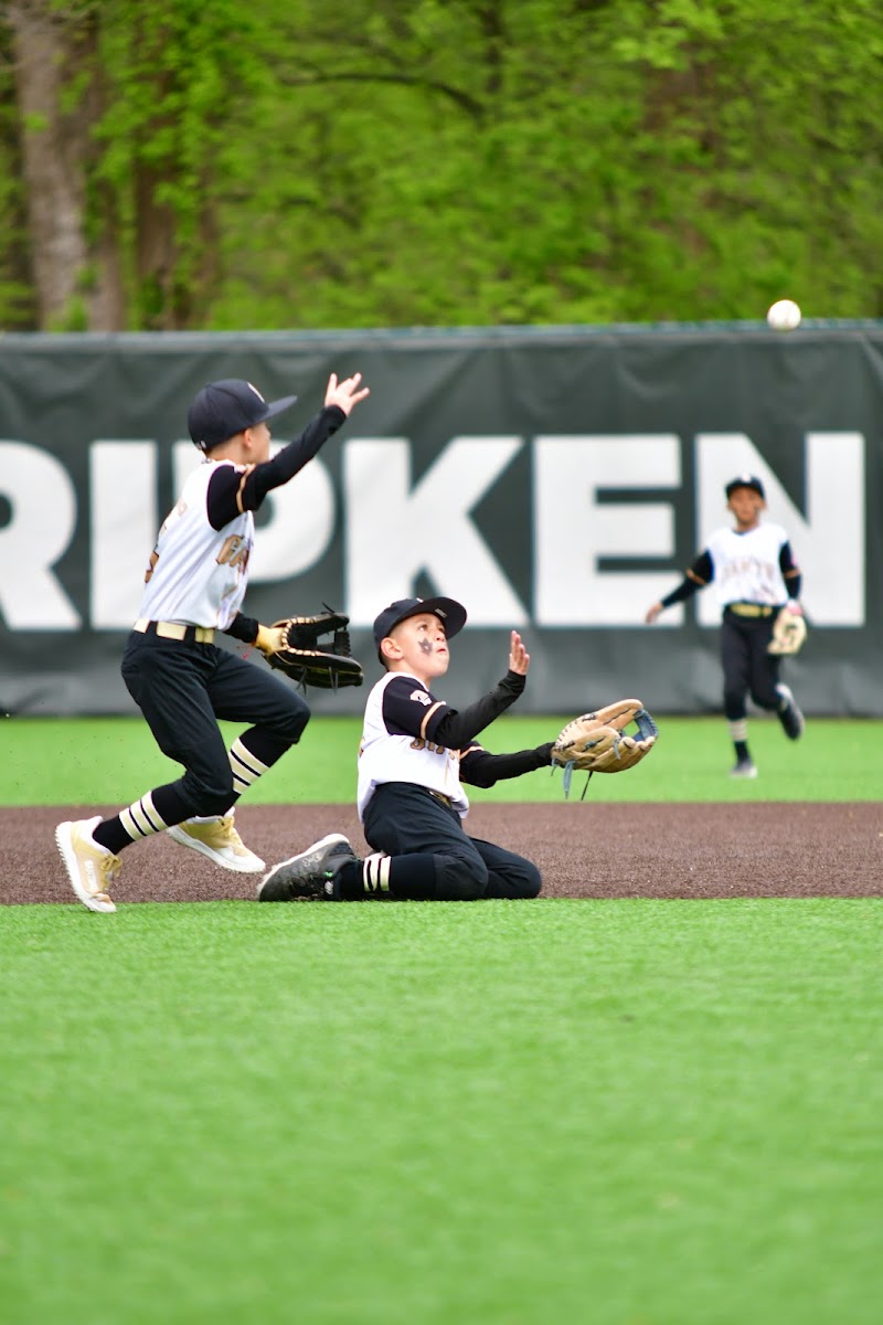 Westchester Giants photo 2