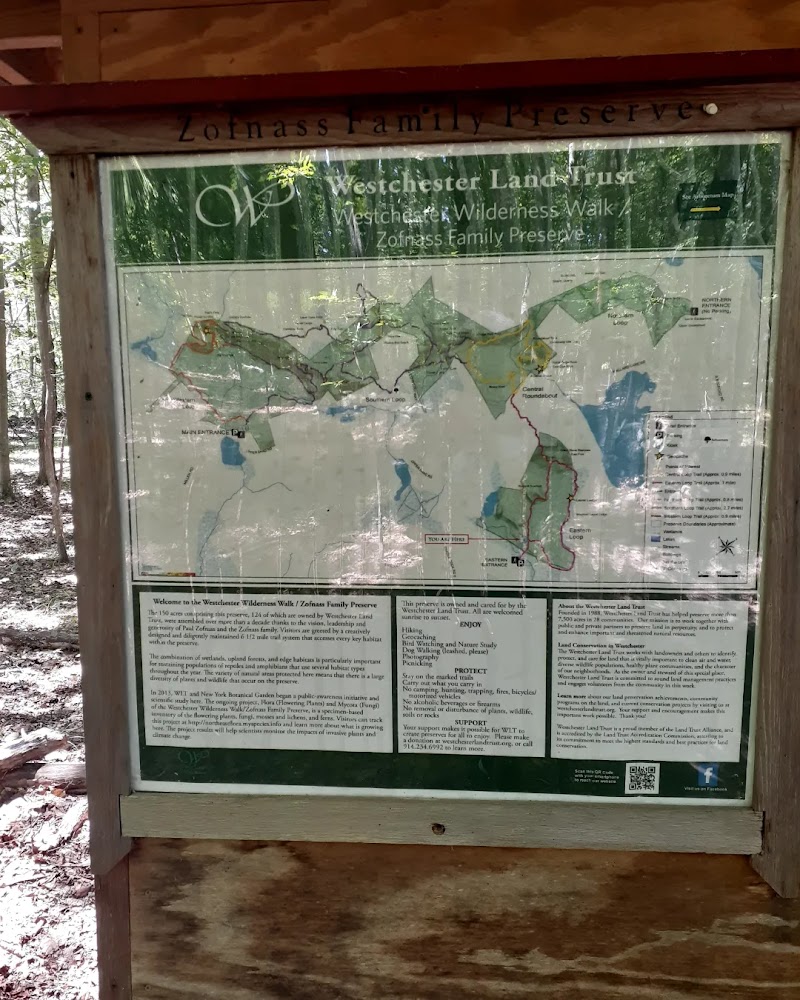 Westchester Wilderness Walk photo 3