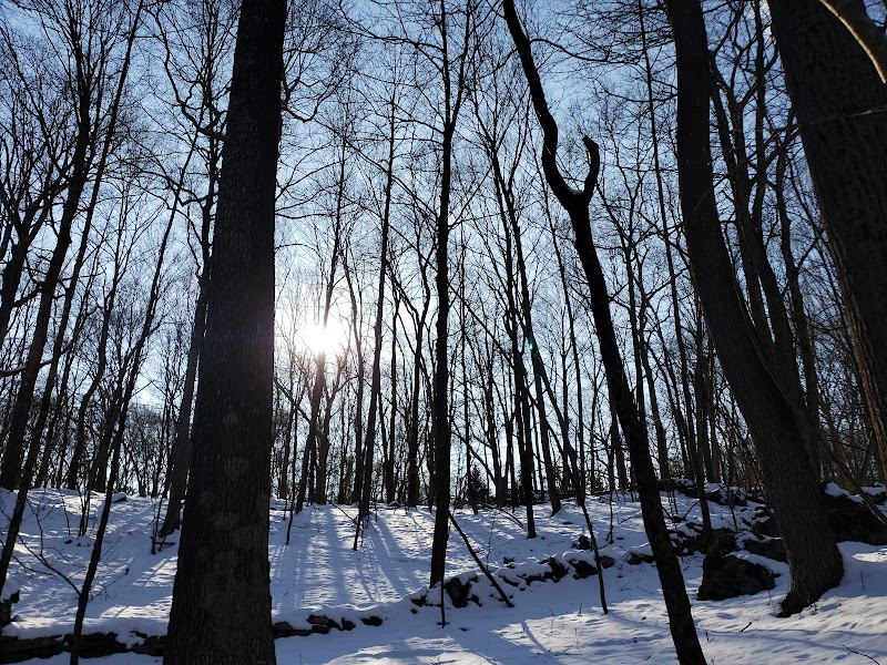 Westchester Wilderness Walk photo 4
