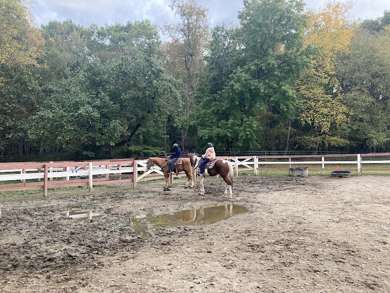 Westchester Trail Rides photo 3