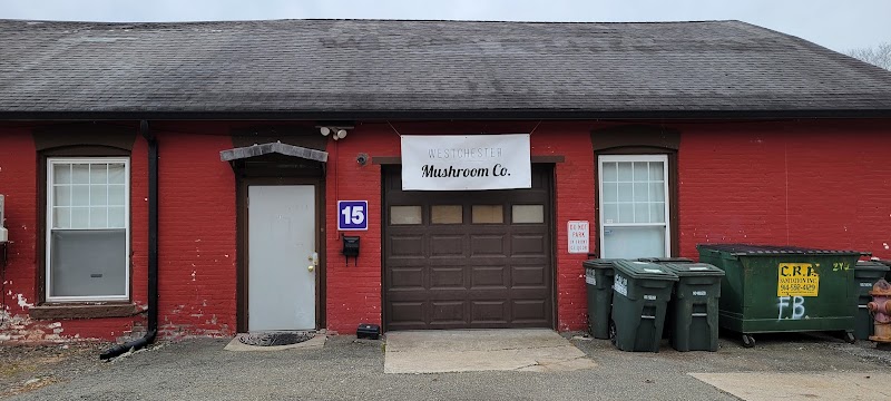Westchester Mushroom Co. photo 3