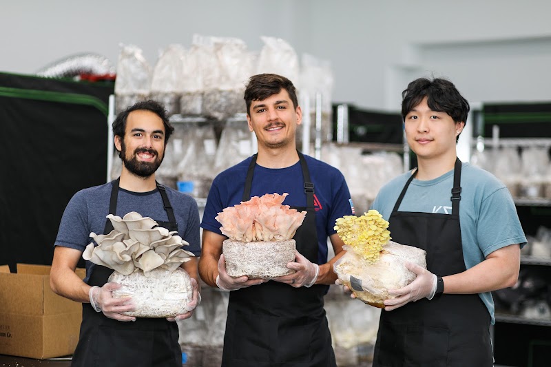 Westchester Mushroom Co. photo 4