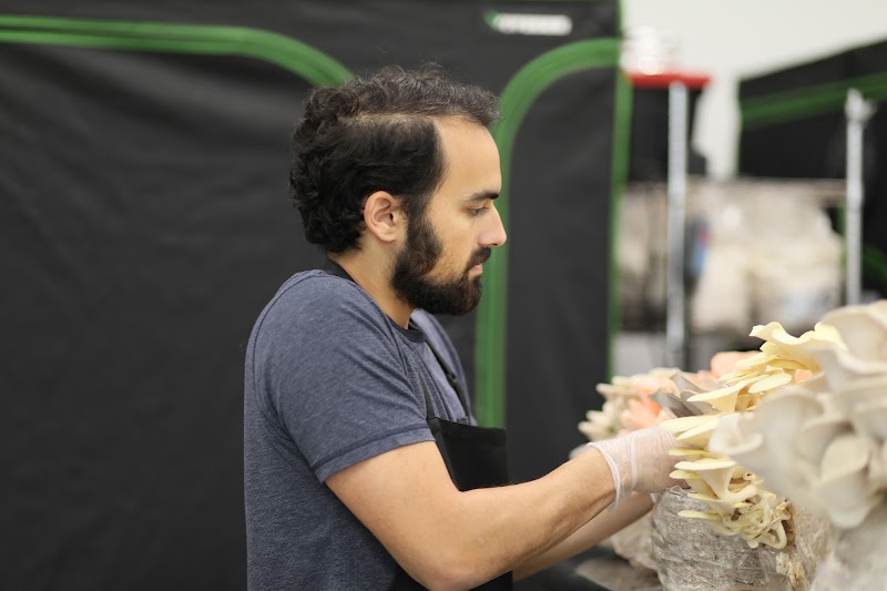 Westchester Mushroom Co. photo 5