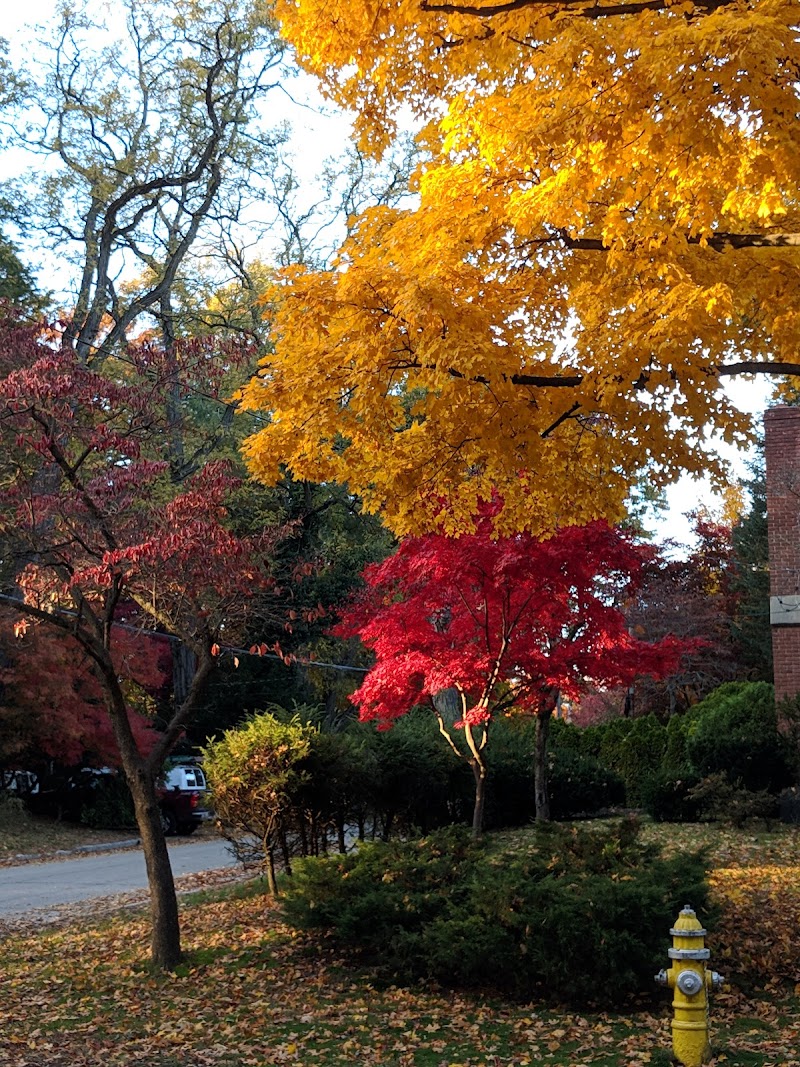 Devries Park photo 5