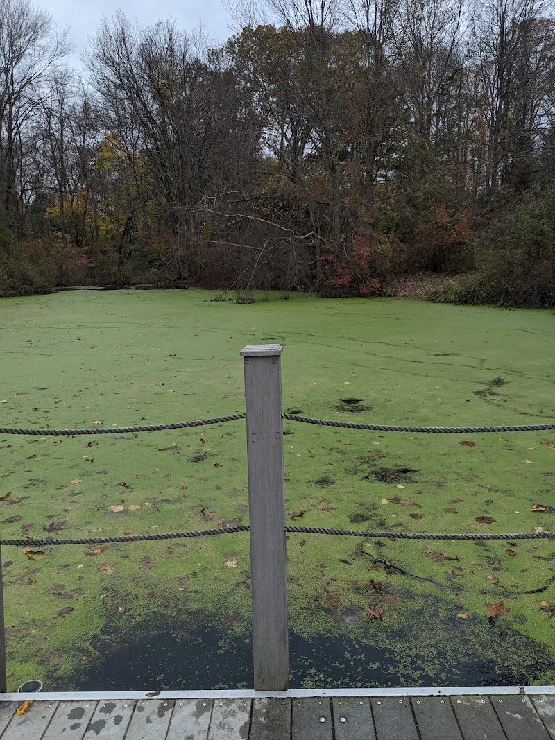 New Canaan Nature Center photo 2