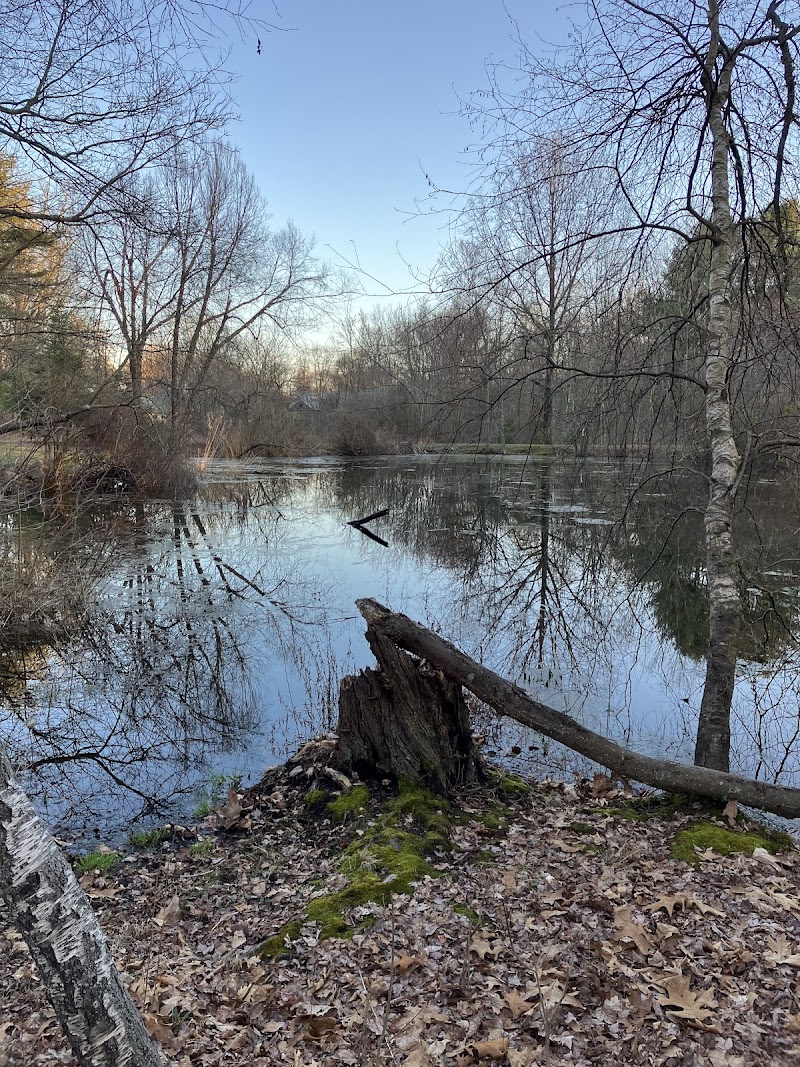 New Canaan Nature Center photo 5