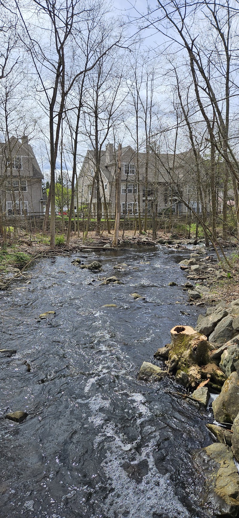 New Canaan CT Online photo 2