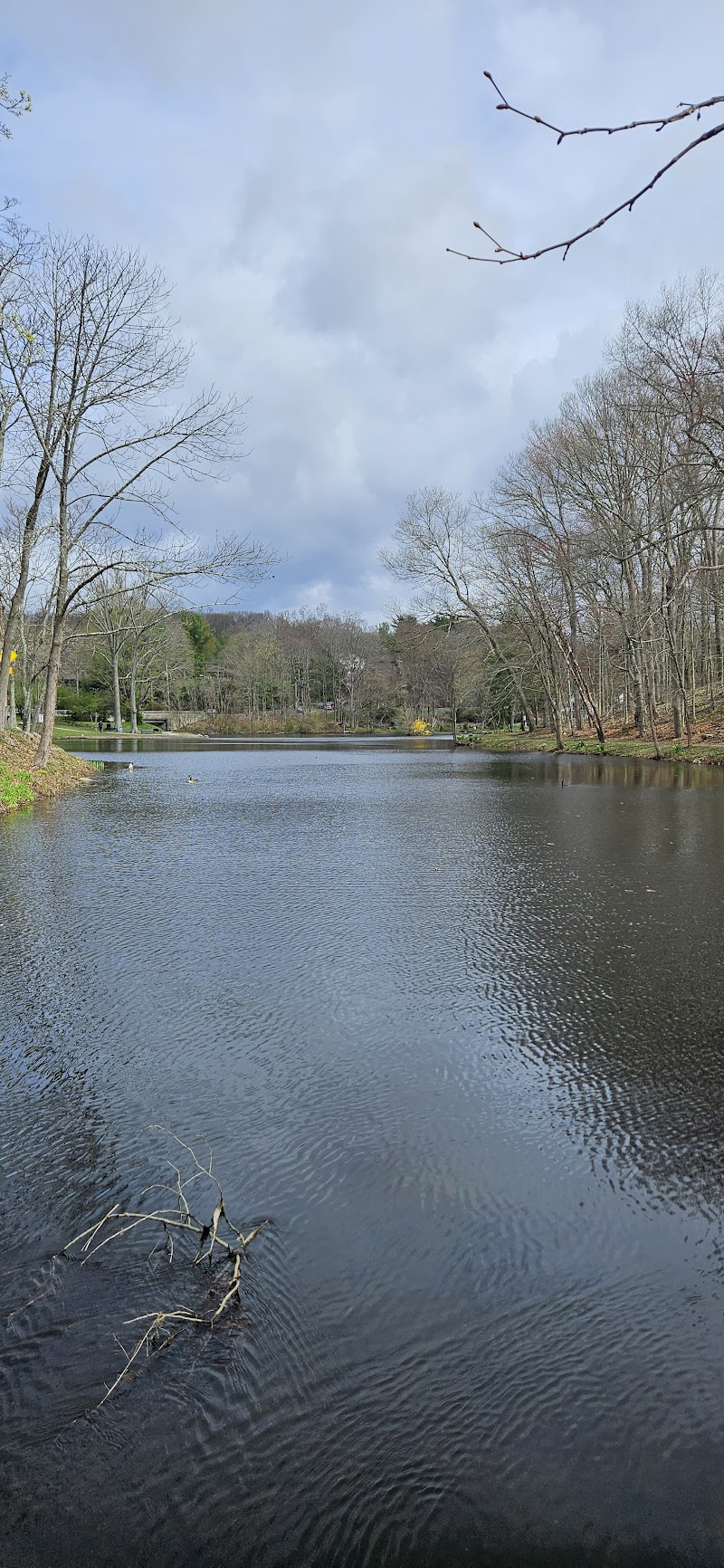 New Canaan CT Online photo 3