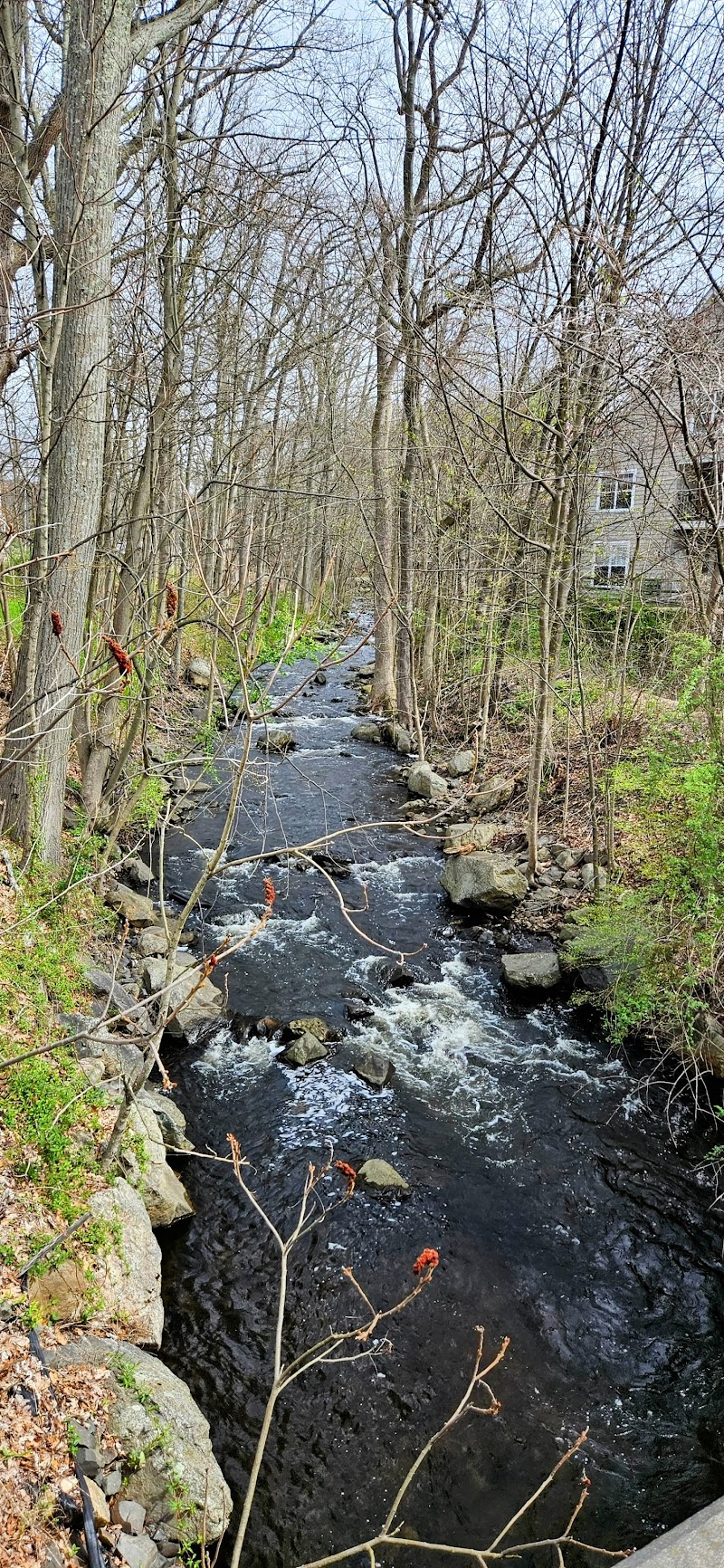 New Canaan CT Online photo 5