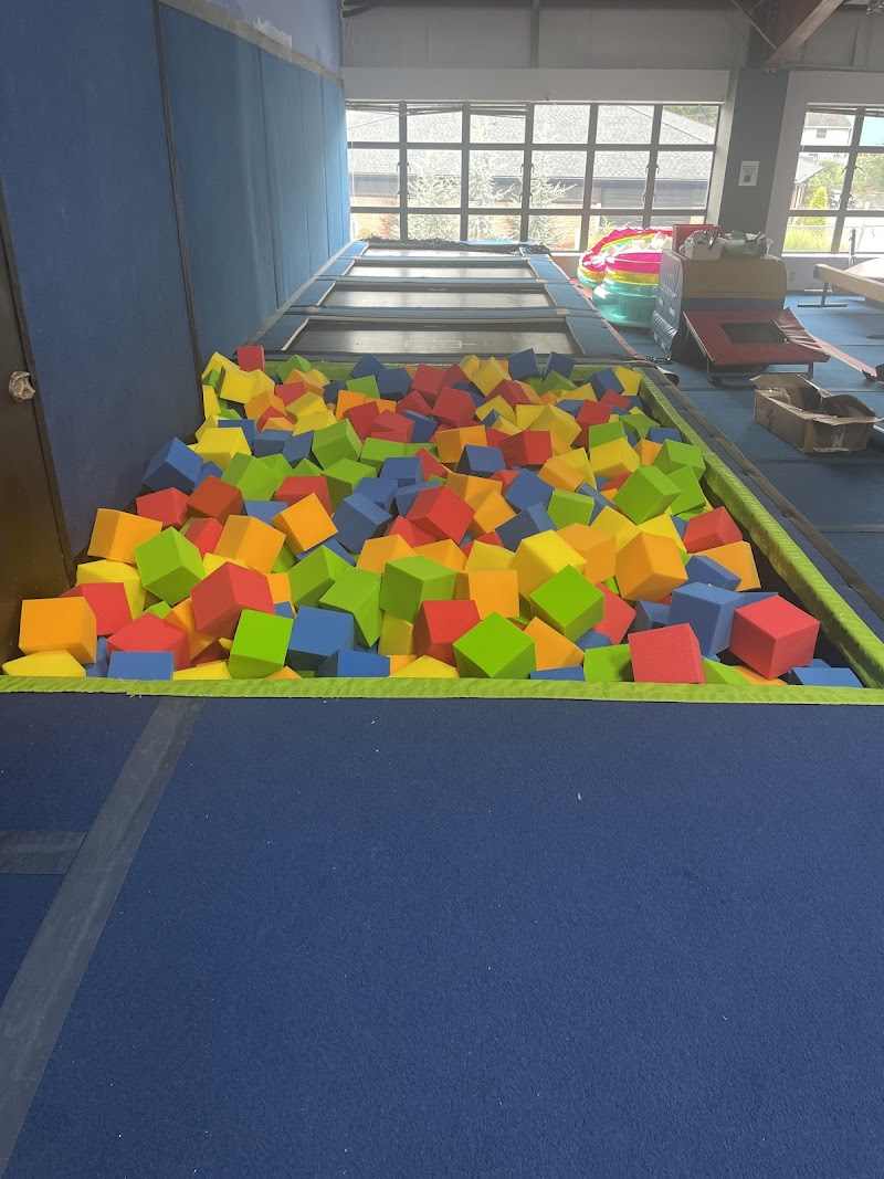 New York Gymnastics Center photo 2