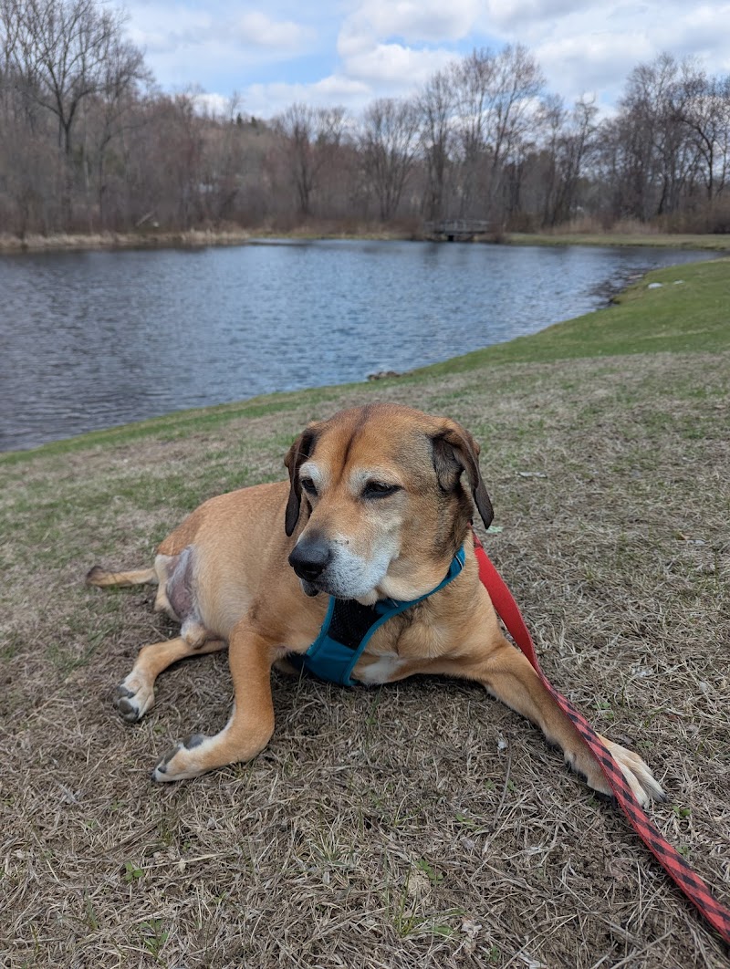 Lewisboro Town Park photo 4