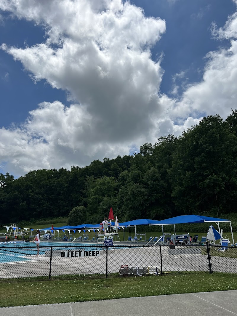 Lewisboro Town Pool photo 4