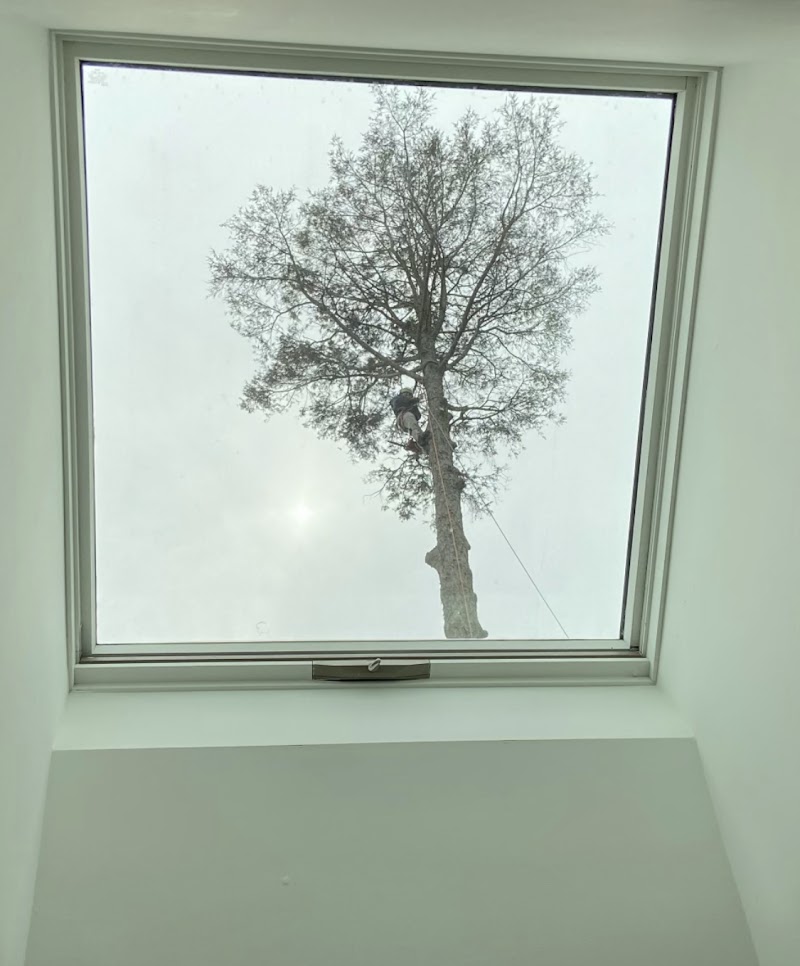 Shady Tree Inc photo 2