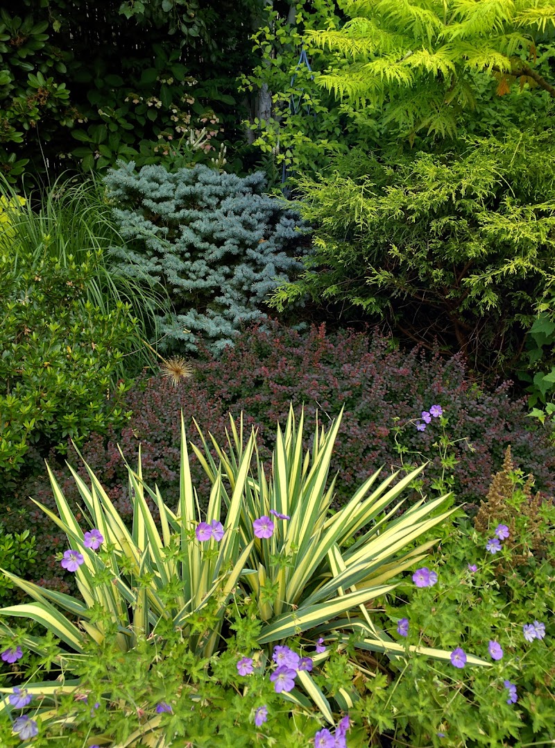 Chappaqua Pocket Park photo 3