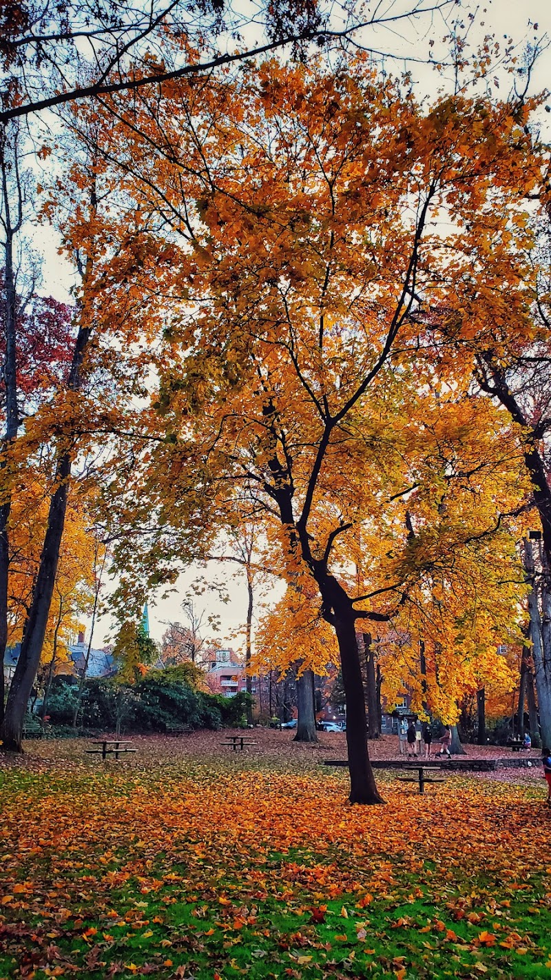 Chase Park photo 5