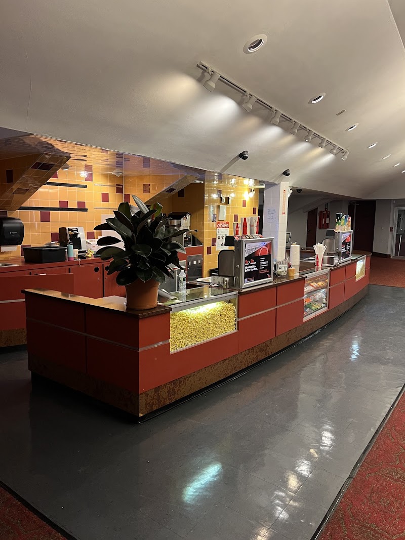 The Picture House - Bronxville photo 2
