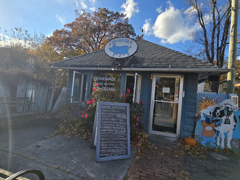 The Blue Pig photo 3
