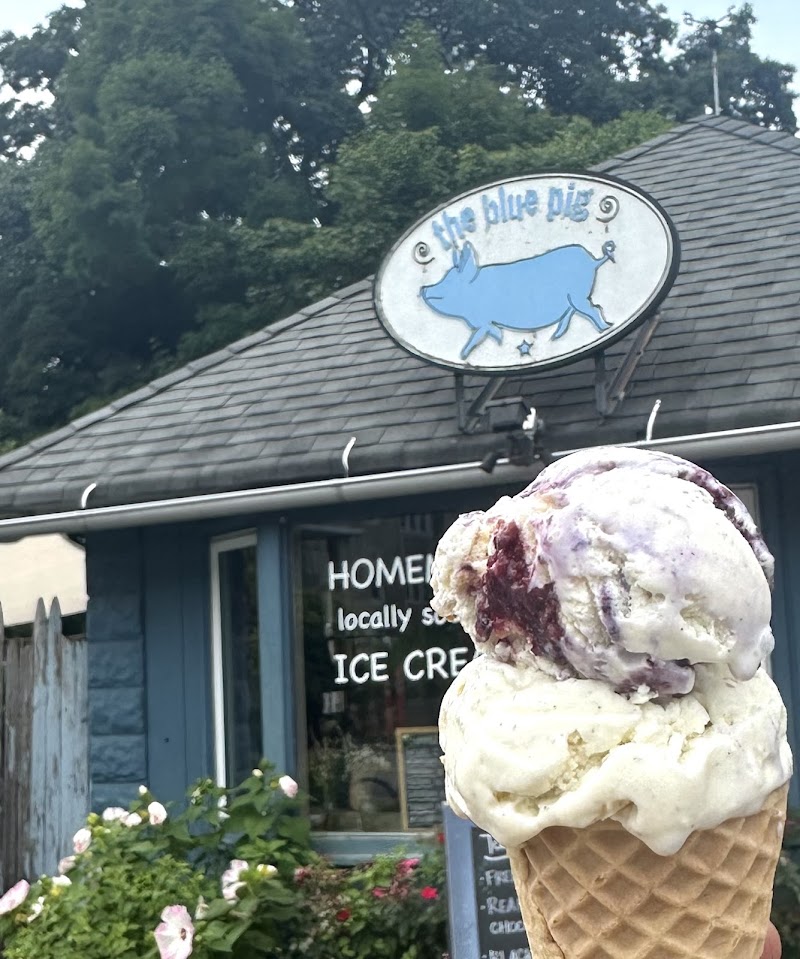 The Blue Pig photo 4