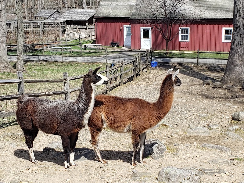 The Knobloch Family Farmhouse photo 2
