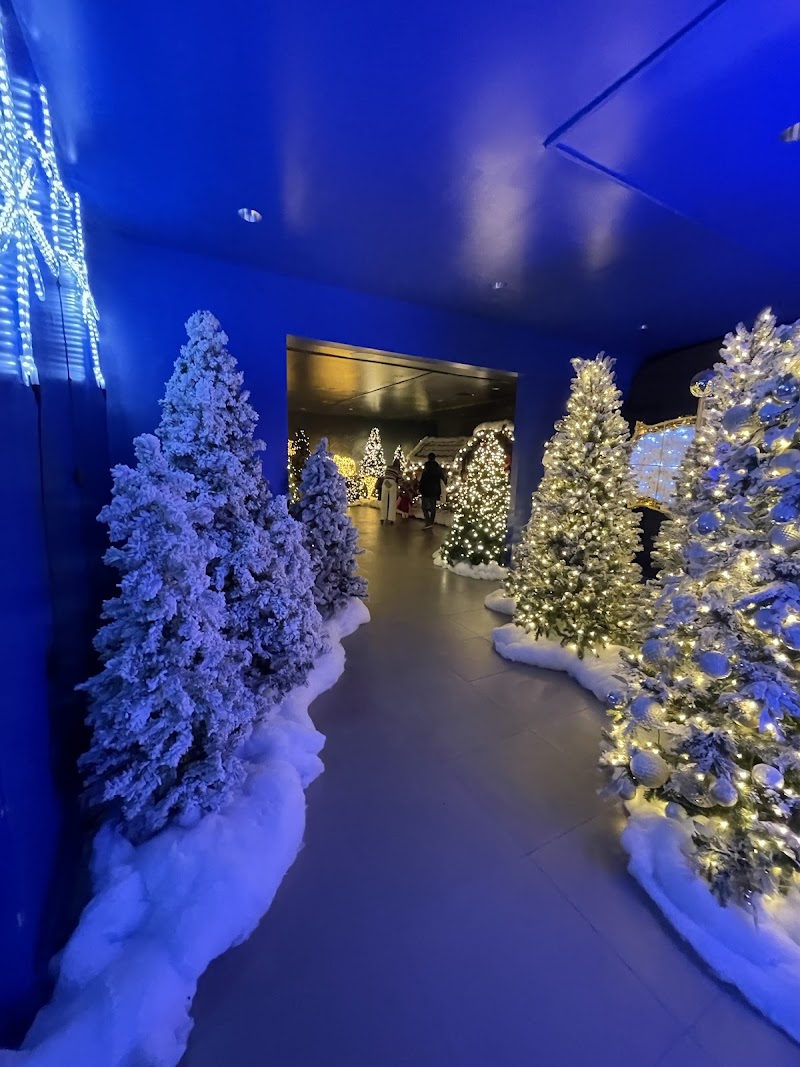 The Holiday Wish Express photo 2