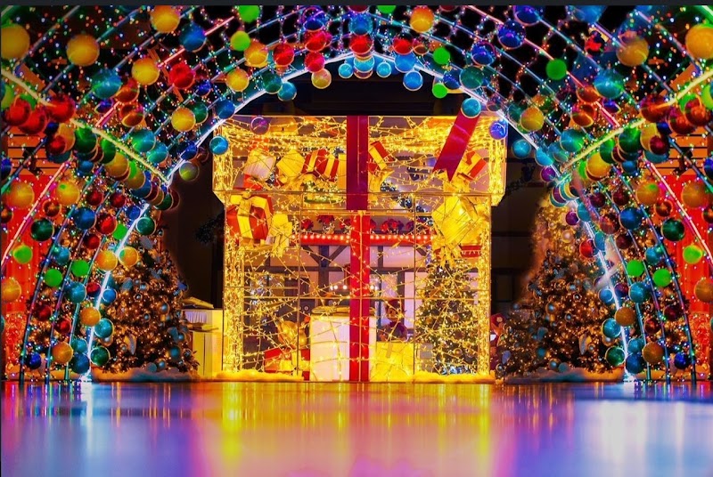 The Holiday Wish Express photo 3