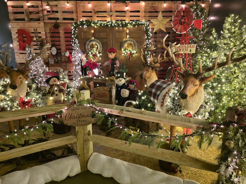 The Holiday Wish Express photo 4