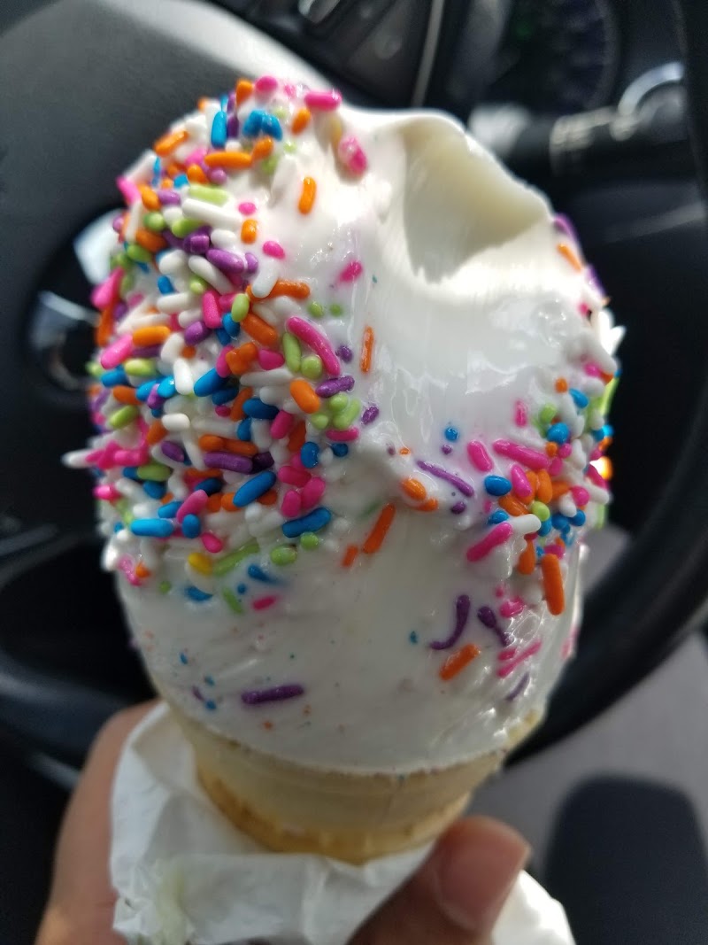 The Cone Zone photo 4