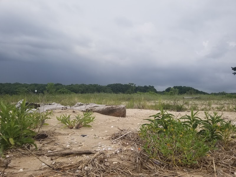 The Creek Beach photo 2