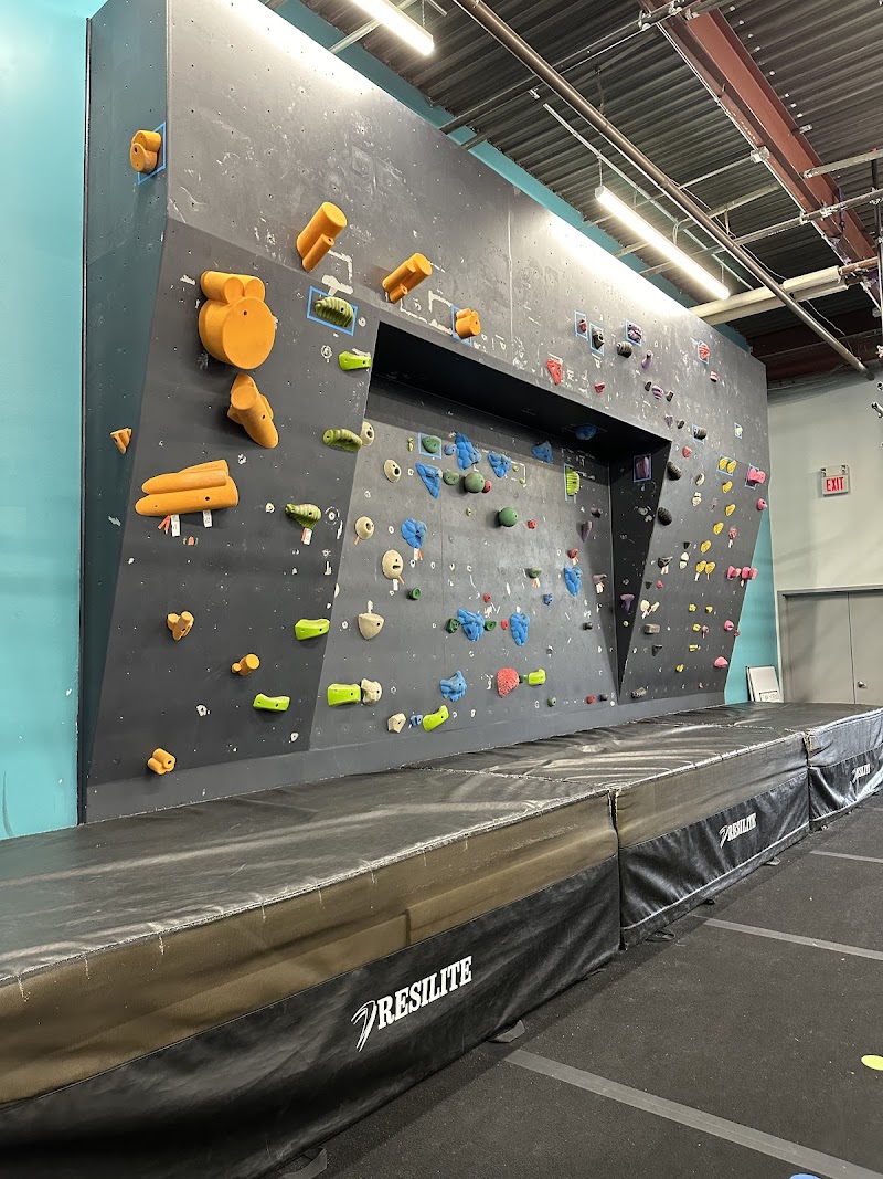 The Grit Ninja photo 2