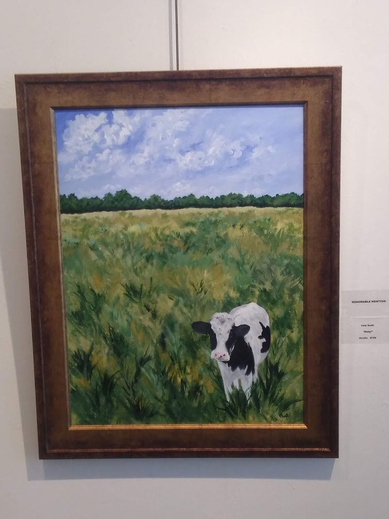 The Stamford Art Association photo 5