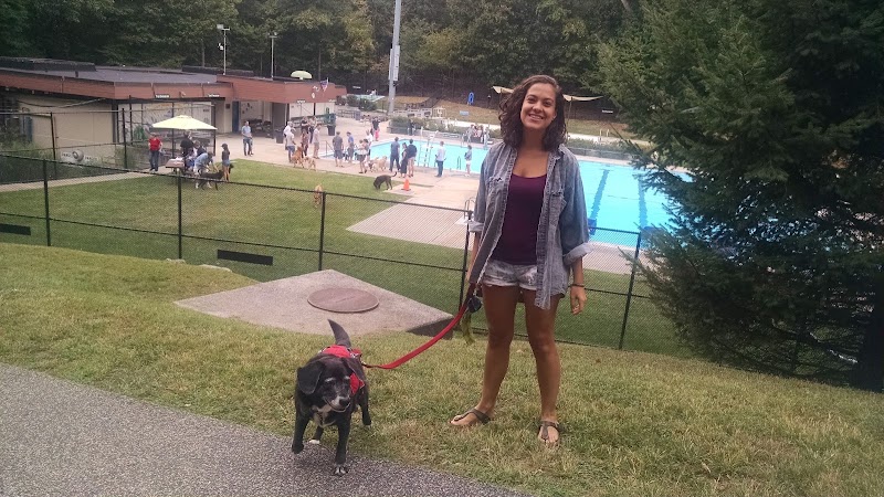 Chemka Pool photo 2