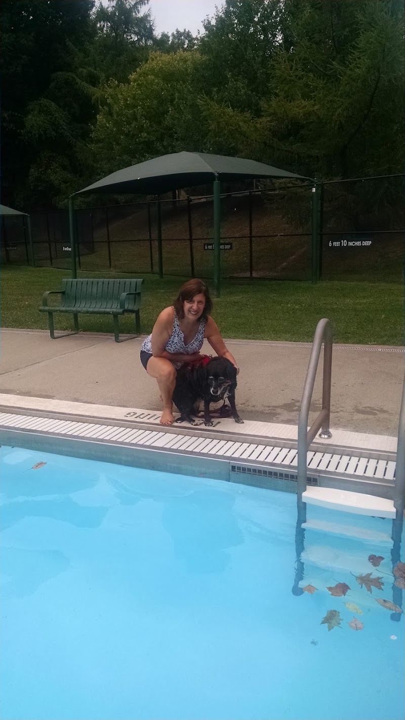 Chemka Pool photo 4