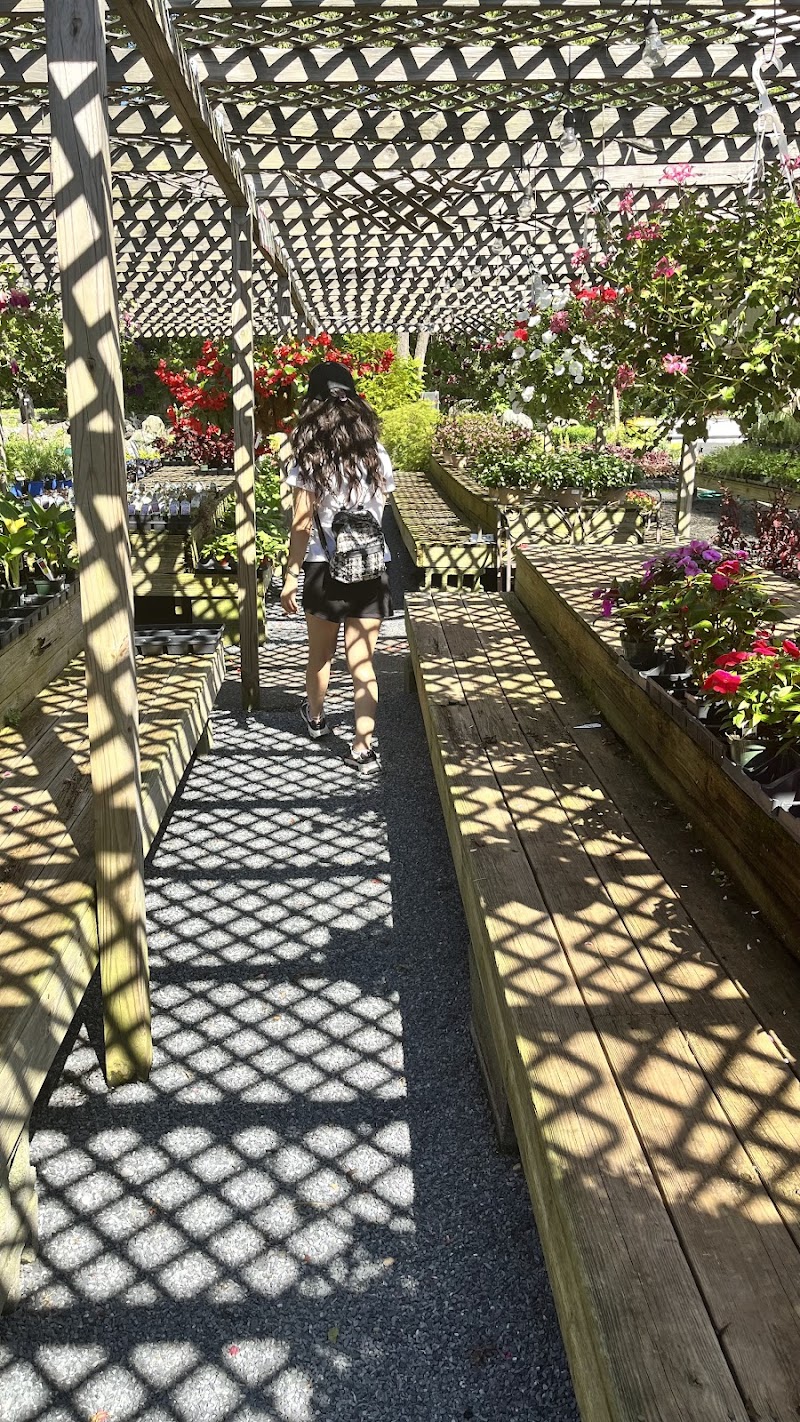 Cherry Lawn Garden Center photo 4
