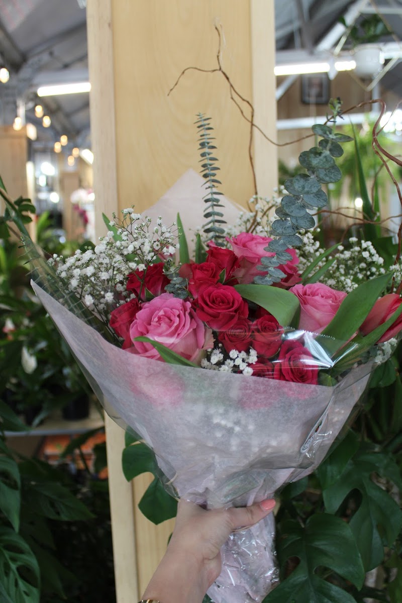 Cherry Lawn Garden Center photo 5