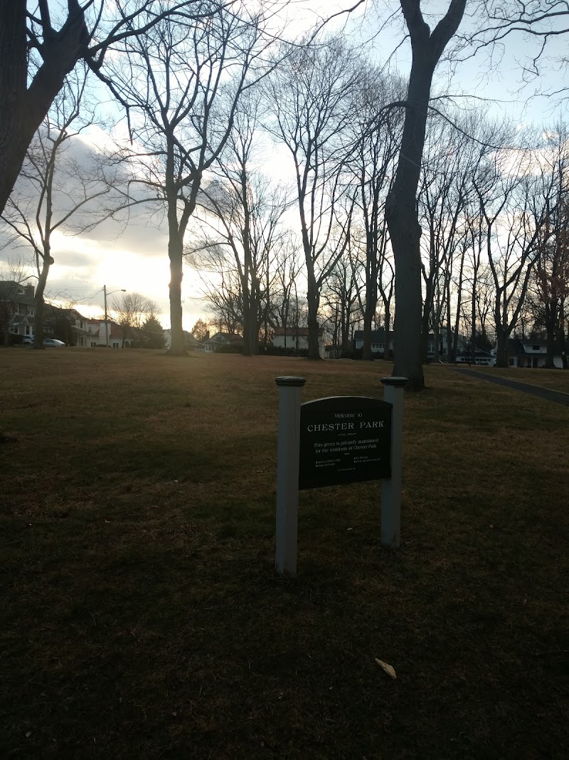 Chester Park photo 2